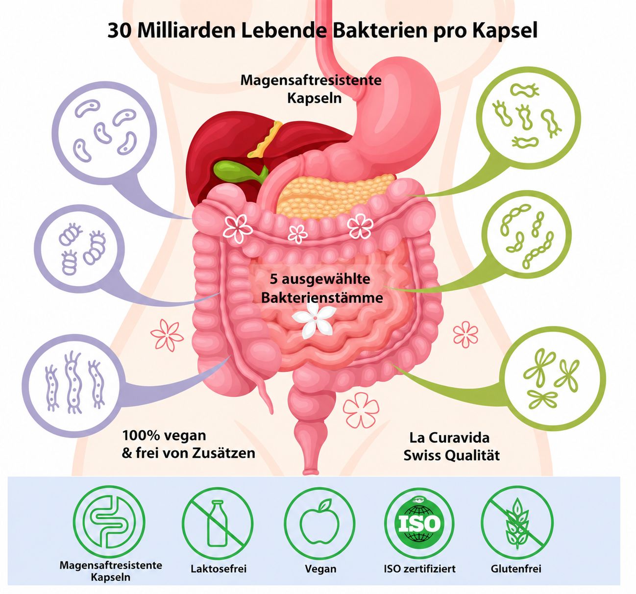 Biotic Gastro IBS™ – 30 Milliarden lebende Bakterienkulturen pro Kapsel | La Curavida Swiss